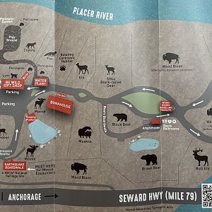 Zoo Map - with rotating carnivore habitat