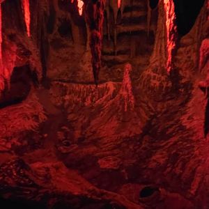 World of Darkness Vampire Bat Exhibit