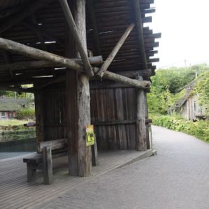 Viewing area for South American mixed exhibit with South American tapir, Vicunã and Lesser rhea (Original tapir exhibit), 2024-08-21