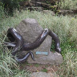 Anaconda statue, 2024-08-21