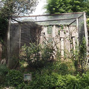 Monk parakeet aviary, 2024-08-21