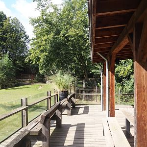 Pampas Lodge terrace and Mixed South American exhibit with South American tapir, Vicuña and Lesser rhea, 2024-08-21