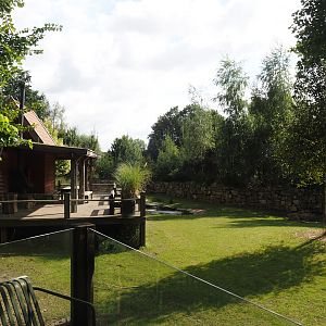 Pampas Lodge terrace and Mixed South American exhibit with South American tapir, Vicuña and Lesser rhea, 2024-08-21