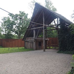Shelter with Southern white-lipped peccary stable in the squirrel monkey forest, 2024-08-21