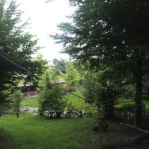 Part of squirrel monkey forest and part of new mountain bongo exhibit, 2024-08-21