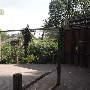 Entrance to the squirrel monkey forest and side exhibit for squirrel monkeys, 2024-08-21