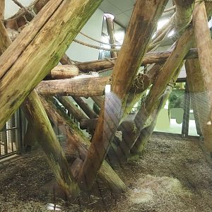 Part of Western lowland gorilla and Black crested mangabey indoor housing, 2024-08-21