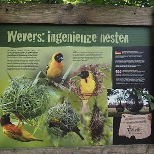 Weaver bird signage, 2024-08-21