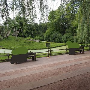 Viewing area for Western lowland gorilla and Black crested mangabey feedings, 2024-08-21