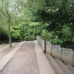 Viewing area for Western lowland gorilla and Black crested mangabey feedings and Bat-eared fox exhibit, 2024-08-21