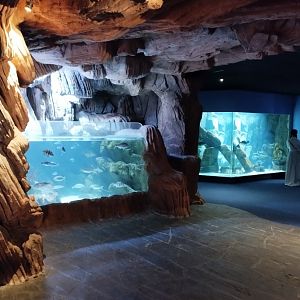 Aquariums