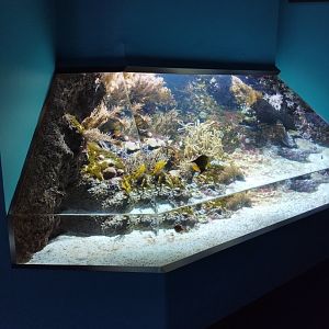 Aquarium example