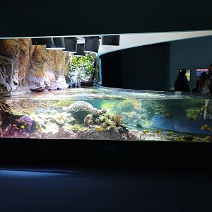Aquarium example