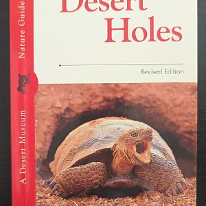 A Field Guide to Desert Holes