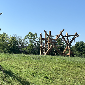 New Climbing Structure in Chimpanzee Habitat - July 2025