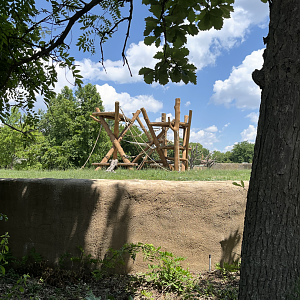 New Climbing Structure in Chimpanzee Habitat - July 2025