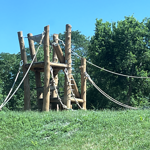 New Climbing Structure in Gorilla Habitat - July 2025