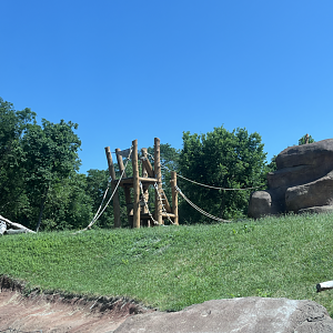 New Climbing Structure in Gorilla Habitat - July 2025