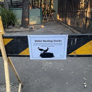 Signage - Black-Necked Stalks nesting