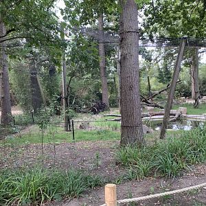 Woolly-necked Stork aviary