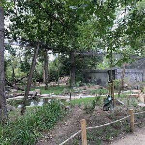 Woolly-necked Stork aviary
