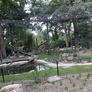 Woolly-necked Stork aviary