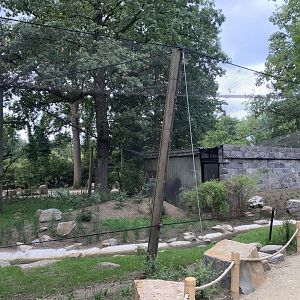 Woolly-necked Stork aviary