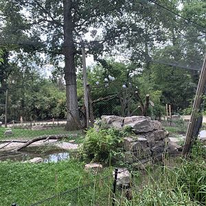 Oriental Stork aviary