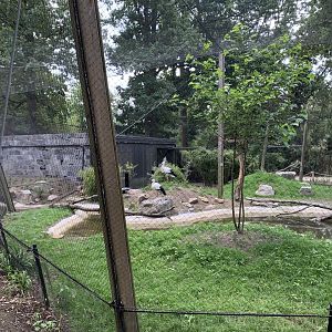 Oriental Stork aviary