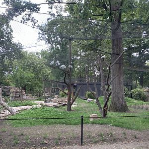 Oriental Stork aviary