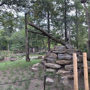 Oriental Stork aviary