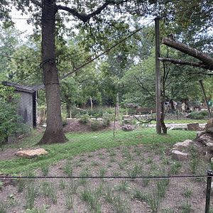 Oriental Stork aviary