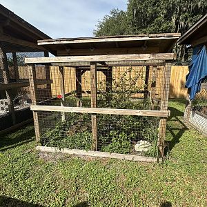 July 2025 - Box Turtle Enclosure (empty)