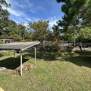 July 2025 - Gopher Tortoise Enclosure