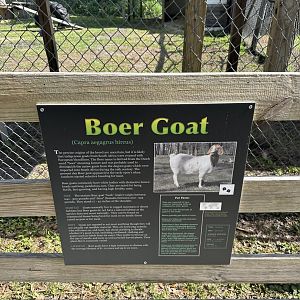 July 2025 - Typical Signage (Boer Goat)