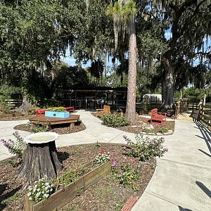 July 2025 - Pollinator Garden Overview