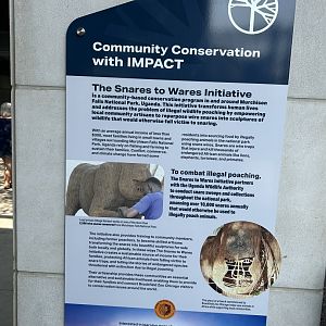 Tropical Forests- sign about the gorilla sculpture made from snares