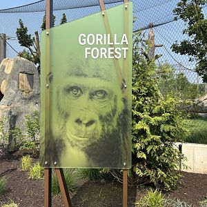 Tropical Forests- Gorilla Forest sign