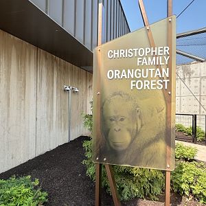 Tropical Forests- Orangutan Forest sign