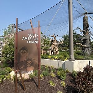 Tropical Forests- South American Forest sign