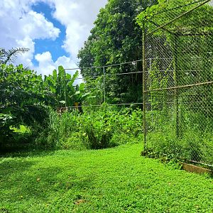 paramaribo zoo enclosure in construction