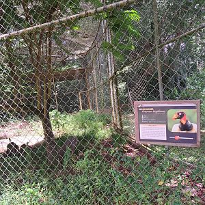 paramaribo zoo