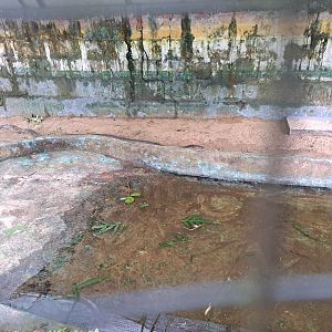 paramaribo zoo, anaconda enclosure
