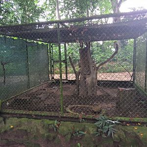 paramaribo zoo, owl enclosure