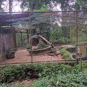 paramaribo zoo
