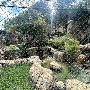 Sumatran Tiger Enclosure