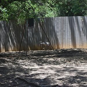 Texas Habitat