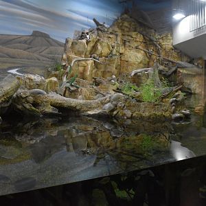 Another View of the Texas  Tank