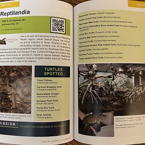 Turtle Lovers’ Guidebook: Example of layout