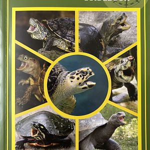 Turtle Lovers’ Guidebook
